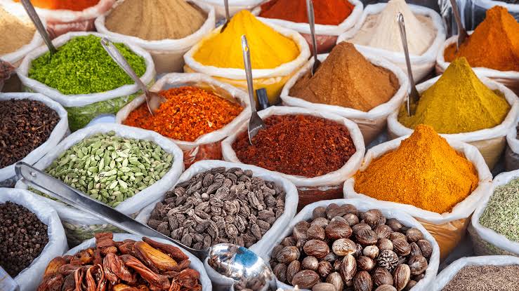 Cultural Immersion in South Goa